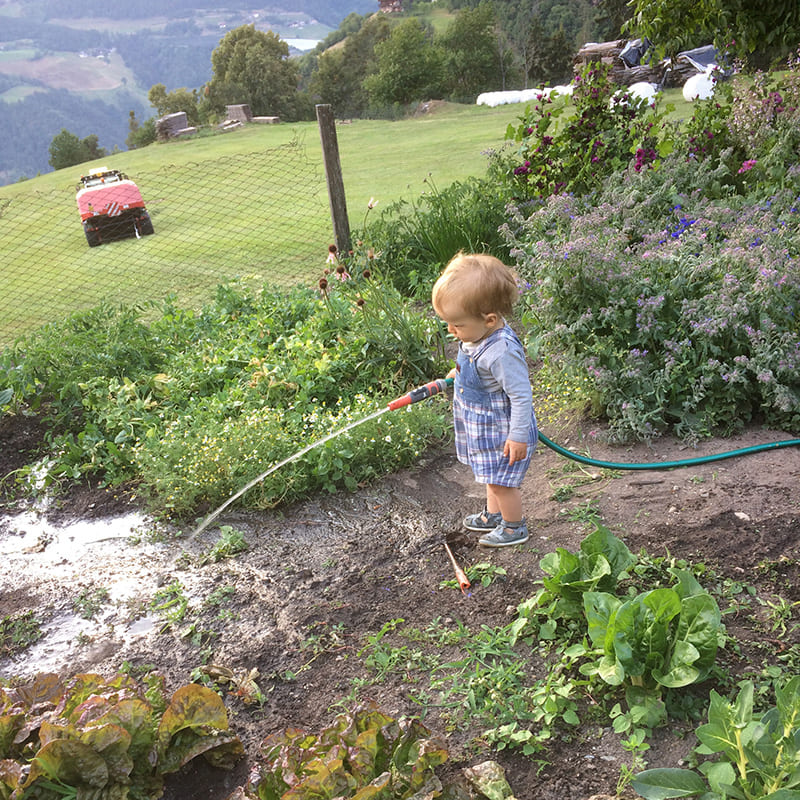 Sommerurlaub auf der Seiser Alm